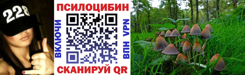 Галлюциногенные грибы мицелий  Воронеж 