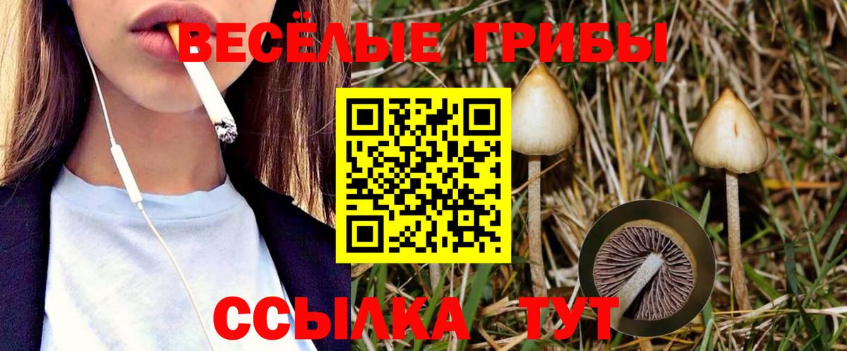 купить наркотик  Воронеж  Псилоцибиновые грибы мицелий 