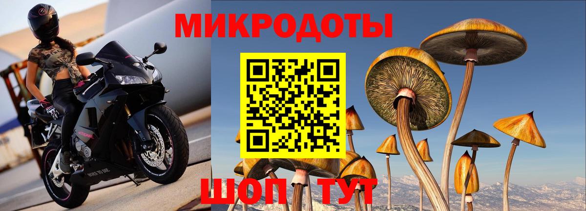 Псилоцибиновые грибы Magic Shrooms Воронеж
