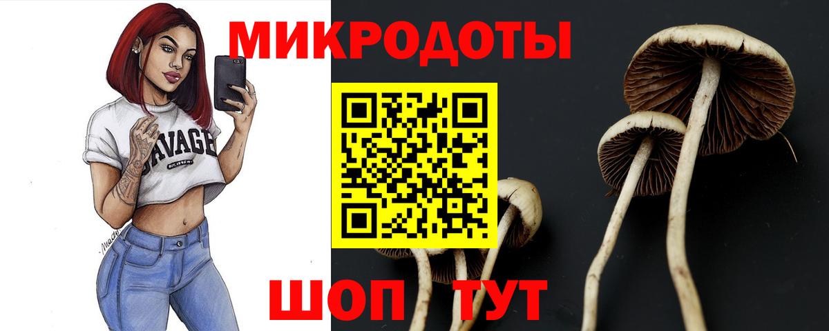 Воронеж  Псилоцибиновые грибы ЛСД  Галлюциногенные грибы Psilocybe  Вход с VPN 