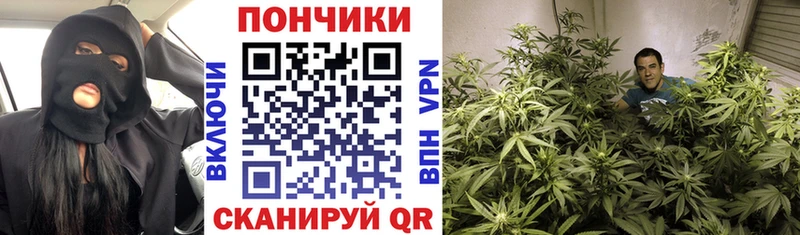 Марихуана индика  Воронеж 